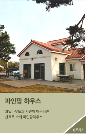 Ͽ콺